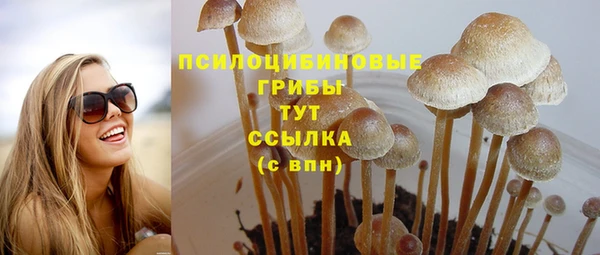 спиды Гусев