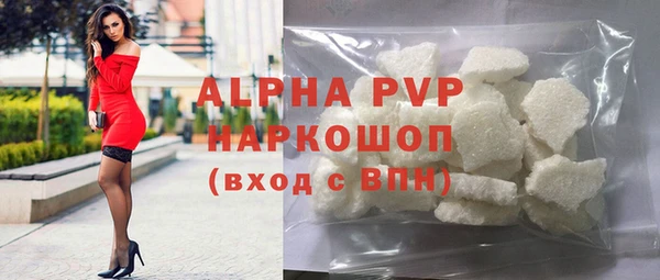 спиды Гусев