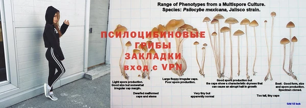 спиды Гусев