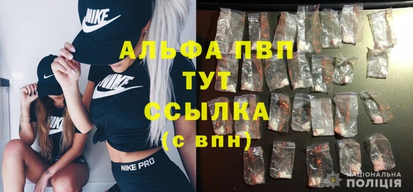 спиды Гусев