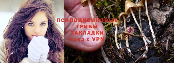 бошки Гусиноозёрск